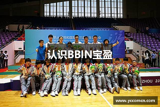 认识BBIN宝盈